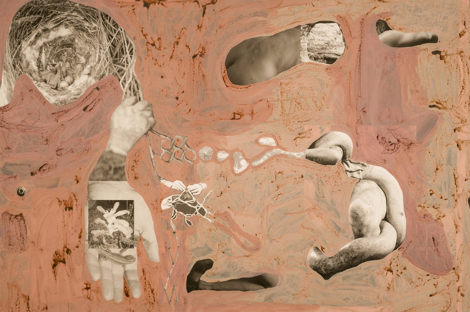 圖十二、《地勢(shì) (關(guān)于時(shí)間，關(guān)于身體)》 (細(xì)節(jié)圖)，O?zlem Alt?n，2019